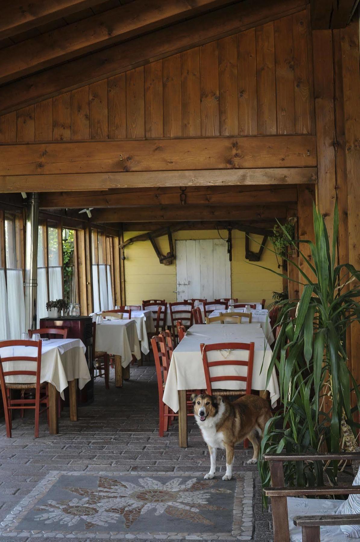Locanda Merlaschio ฟาเอนซา ภายนอก รูปภาพ